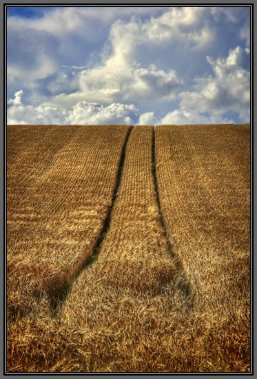 wheat-field-clr.jpg Been and Gone