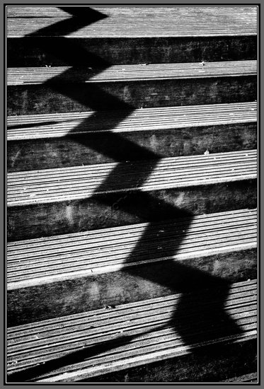 concertina-shadow.jpg Concert In A Shadow