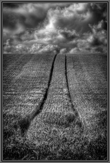 wheat-field-bw.jpg Been and Gone