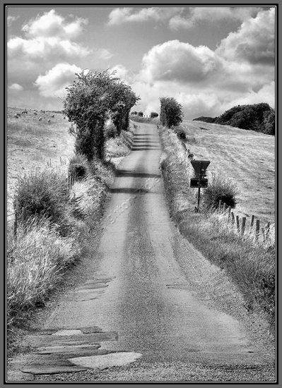 wiltshire-country-lane.jpg Wiltshire Farm Lane in Black and White