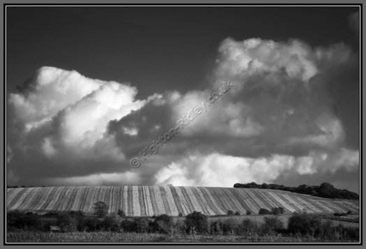 wiltshire-field-post-harvest.jpg Wiltshire Field Post Harvest