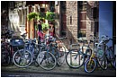 Amsterdam Street Scene - waitress-breaktime.jpg click to see this fine art photo at larger size