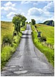 Country Lane - wiltshire-country-lane-colour.jpg click to see this fine art photo at larger size