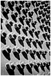 Bridge Nuts And Bolts - nuts-n-bolts.jpg click to see this fine art photo at larger size