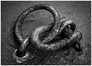 Od Coupling - odd-coupling.jpg click to see this fine art photo at larger size