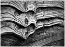 Orcs Of Mordor - orcs-of-mordor.jpg click to see this fine art photo at larger size