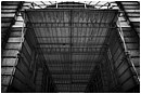 Overhead Protection - overhead-protection.jpg click to see this fine art photo at larger size